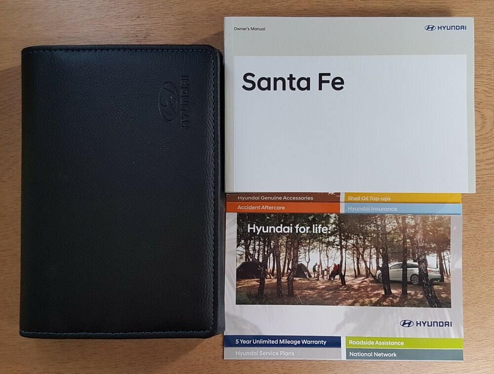 2009 Hyundai Santa Fe User Manual